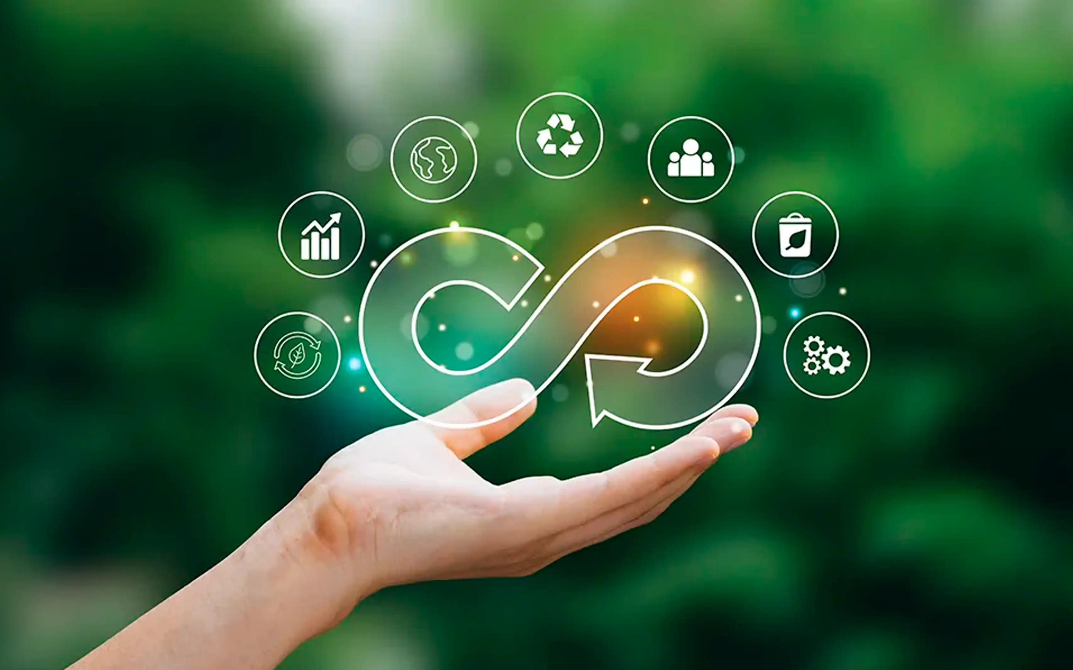 Commitment to Sustainability